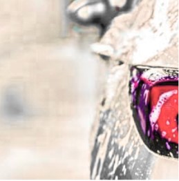 How to Buy a Car Wash Franchise: A Smart Investor’s Step-by-Step Guide to Profitable Ownership 4 How to Buy a Car Wash Franchise: